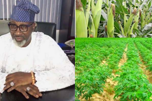 APLANF is deeply concerned about the devastating impact of the current economic climate on farmers in Nigeria, as it is causing severe hardships and jeopardizing their livelihoods.  By Abayomi Odunowo