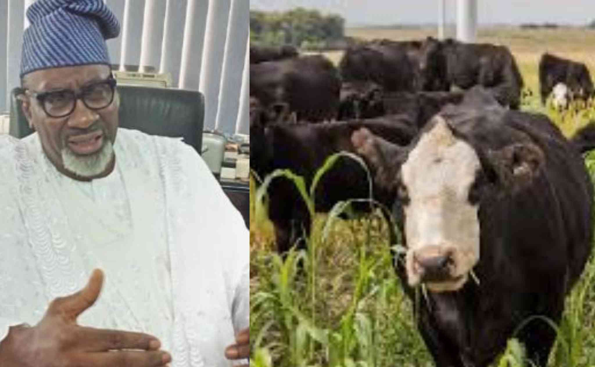 Protecting your farm from animal damage is a straightforward and peaceful process.  By Abayomi Odunowo.